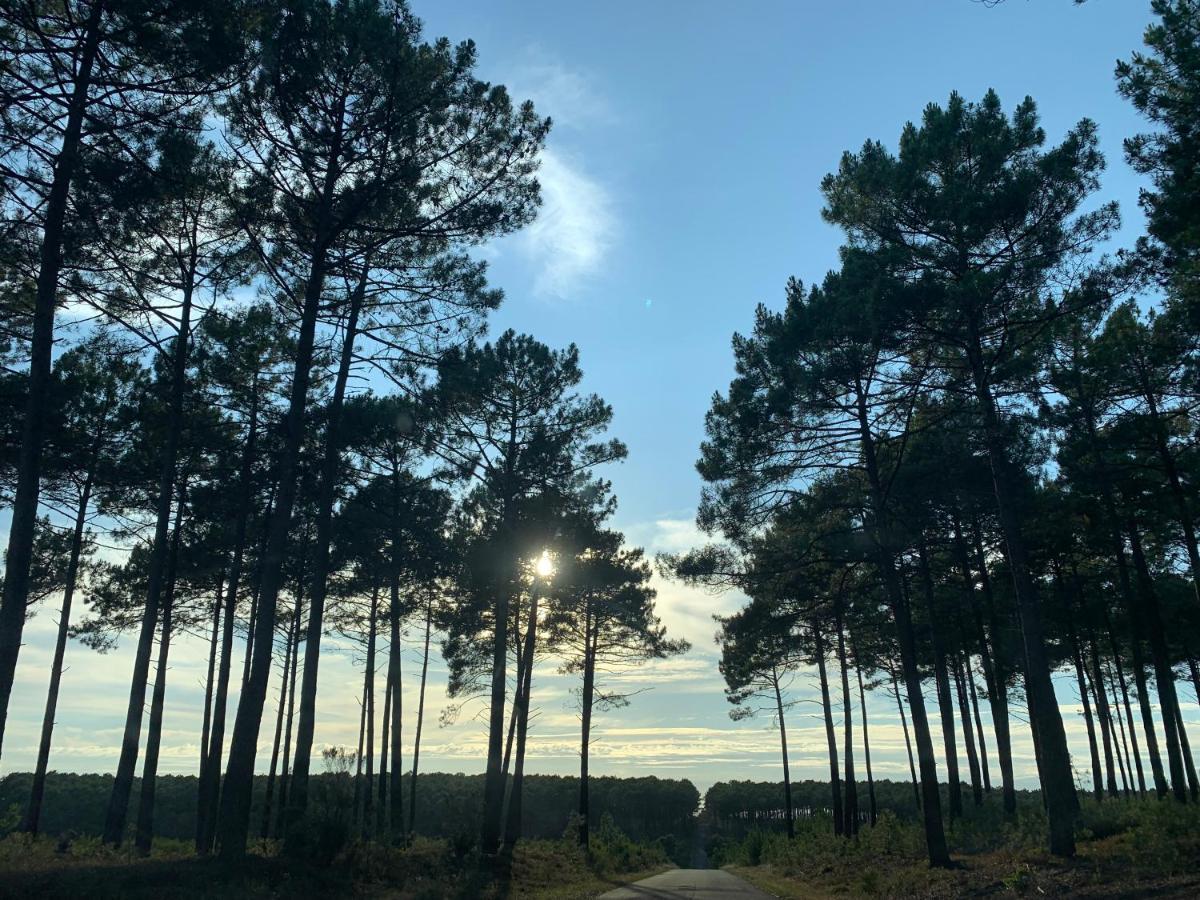L Estanguet Maison Octogonale En Foret Rion-Des-Landes Dış mekan fotoğraf